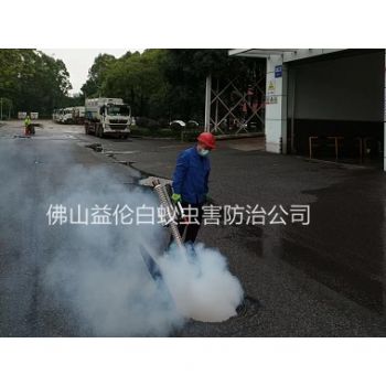 顺德区街道杀蟑螂蚊蝇