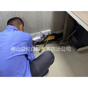 禅城房屋治白蚁工程