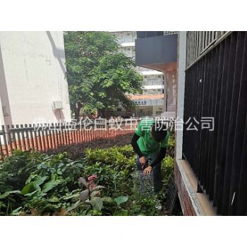 佛山专业抓蛇捕蛇工程